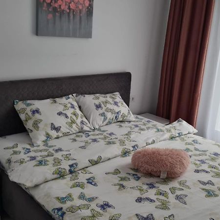 Apartament Lucian Leilighet Râmnicu Vâlcea Eksteriør bilde